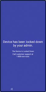 device_screen_lockdown_message.png