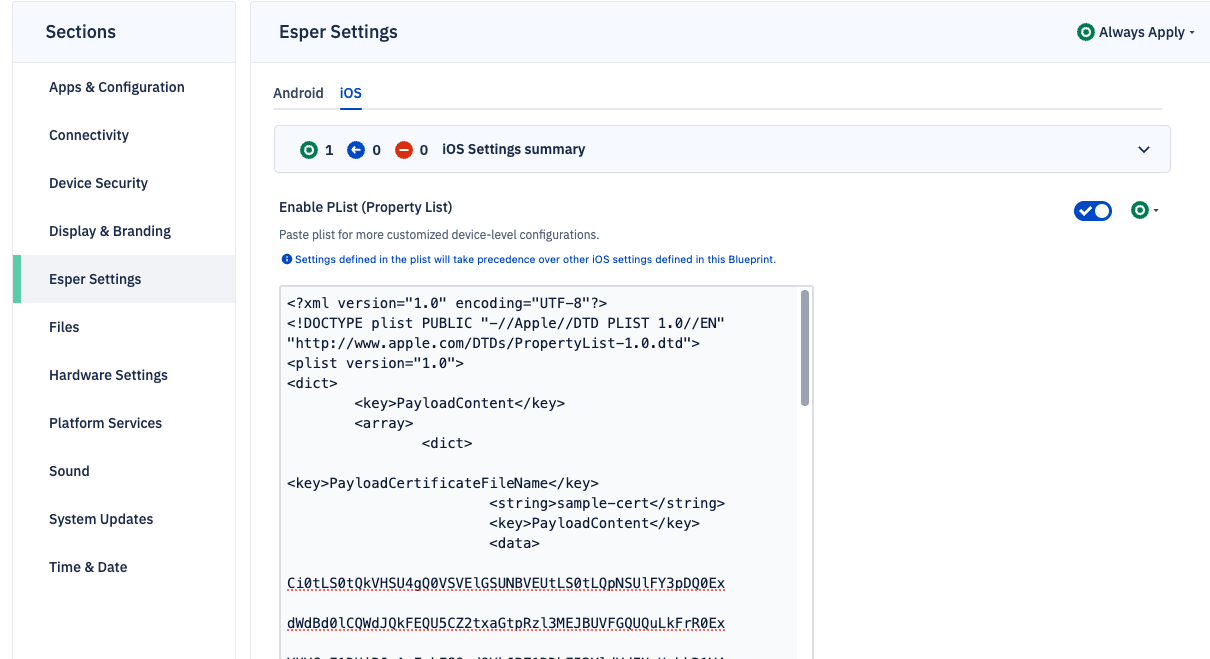 plist pasted to enable plist section in a blueprint