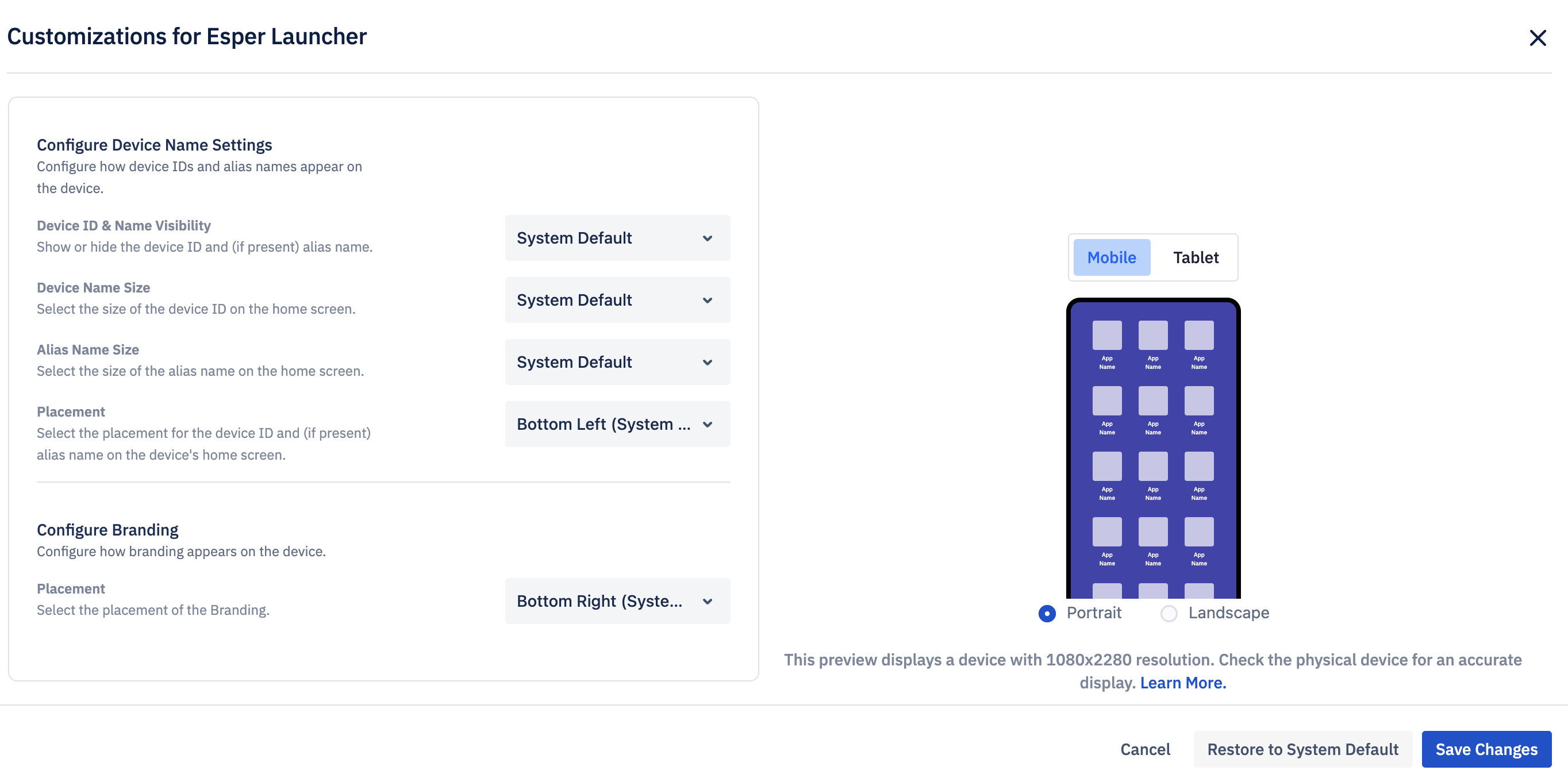 customizations for esper launcher showing dropdowns for device name, alias, placement, and branding.png