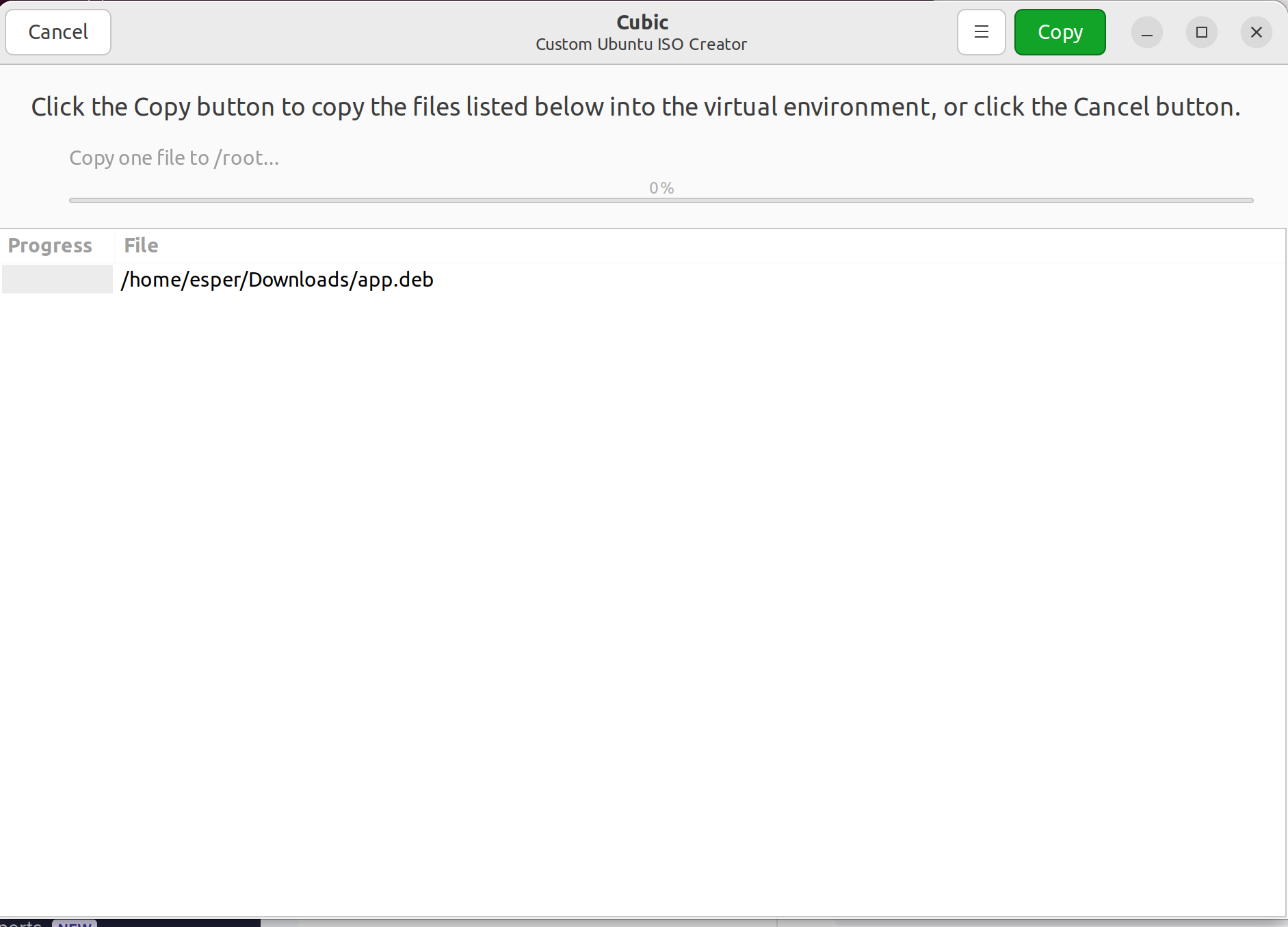 Screenshot of Cubic environment showing Esper Debian package copied successfully.png