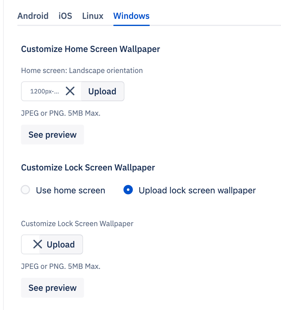 Custom homescreen wallpaper and customize lock screen wallpaper options shown with an image uploaded.