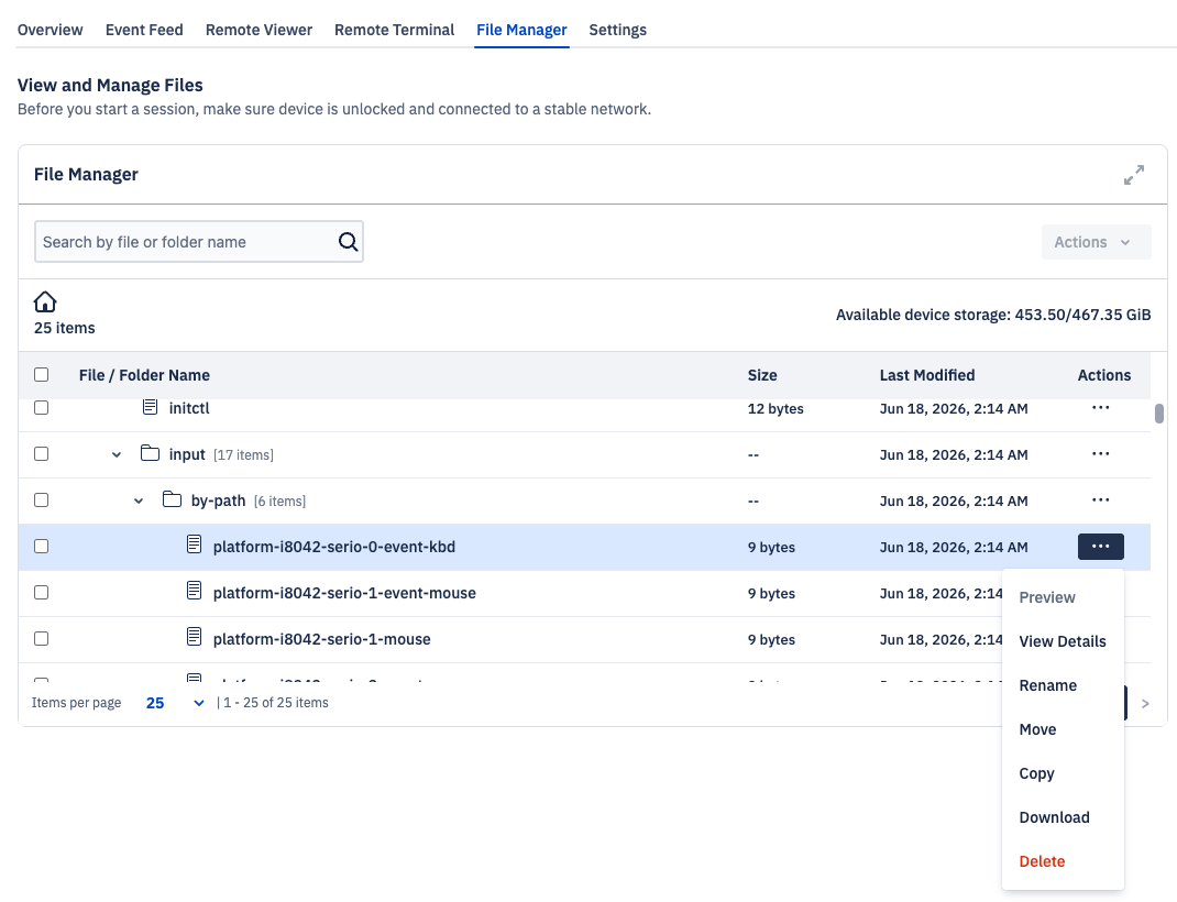 A file manager session with a platform file's ellipsis dropdown open with options to Preview (greyed out), View Details, Rename, Move, Copy, Download, and Delete.